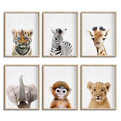 Image of EPHANY Baby Animal Posters and Prints Baby Nursery Decor Pictures Set of 6 (Unframed) Cute Animal Photography Wall Prints for Baby Boys & Girls Room YMX016-8 x10(20x25cm)