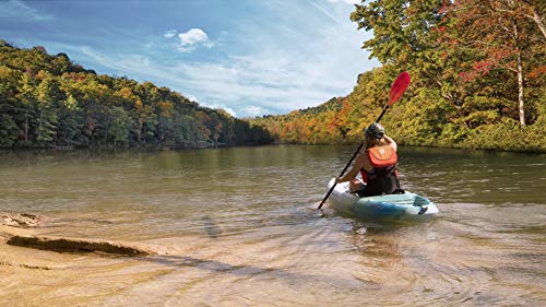 Image of Perception Rambler 9.5 | Sit on Top Kayak for All-Around Fun | Storage with Tie Downs