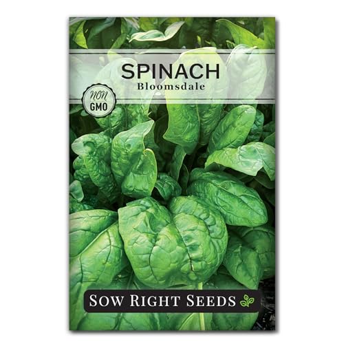 Sow Right Seeds - Bloomsdale Spinach Seeds for Planting - Ideal for Outdoor or Indoor Gardens...