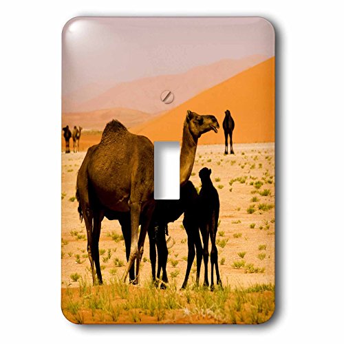 3dRose LSP_70913_1 Oman interrupteur mecanique commande eclairage mural maison