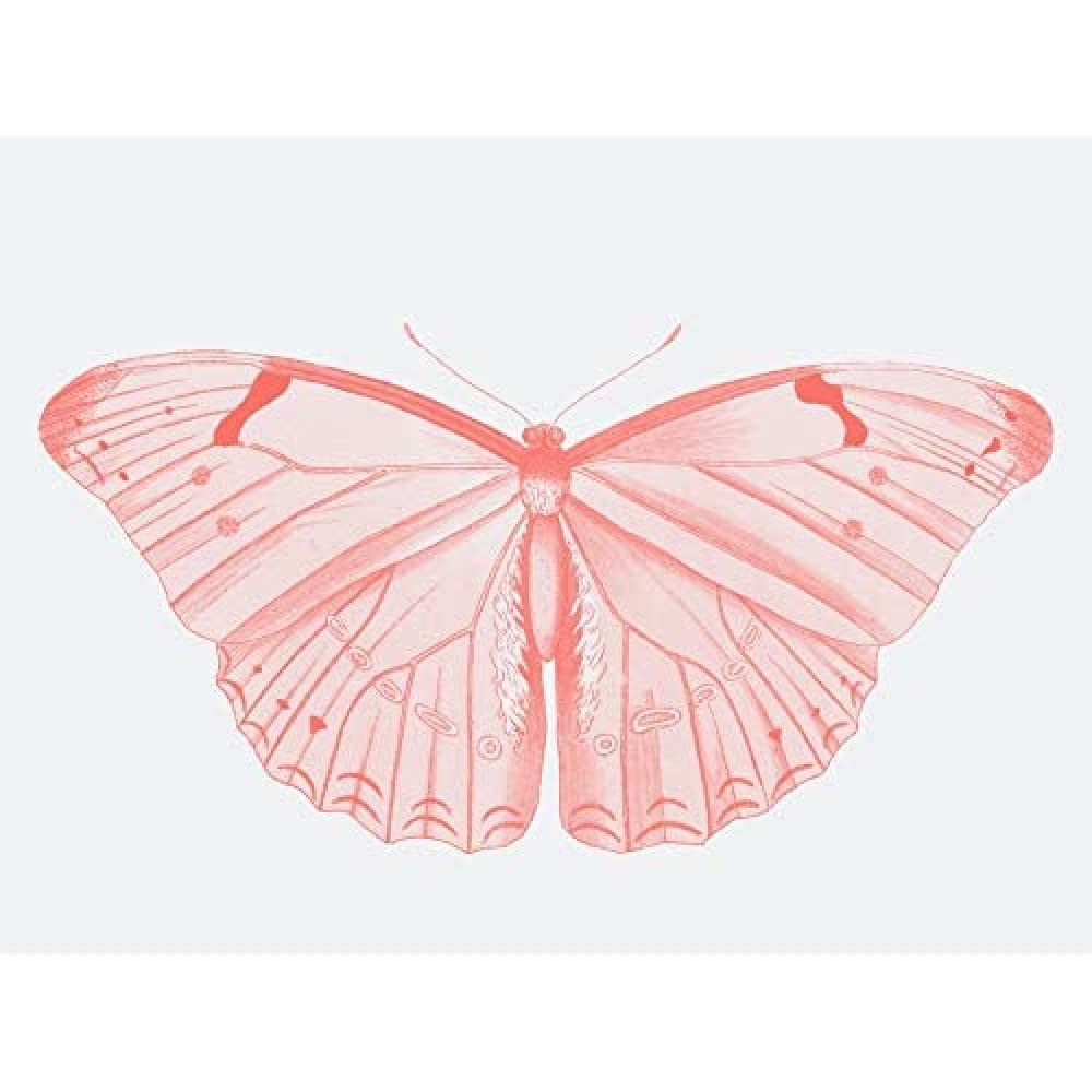Wee Blue Coo Living Coral Butterfly Unframed Art Print Poster Wall Decor 12x16 inch