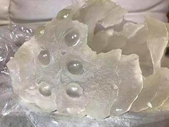 値下げ 【未使用】王蟲抜け殻プランター 風の谷のナウシカ Amazon.co.jp: ナウシカ プランター 王蟲 オウム 抜け殻 風の谷の