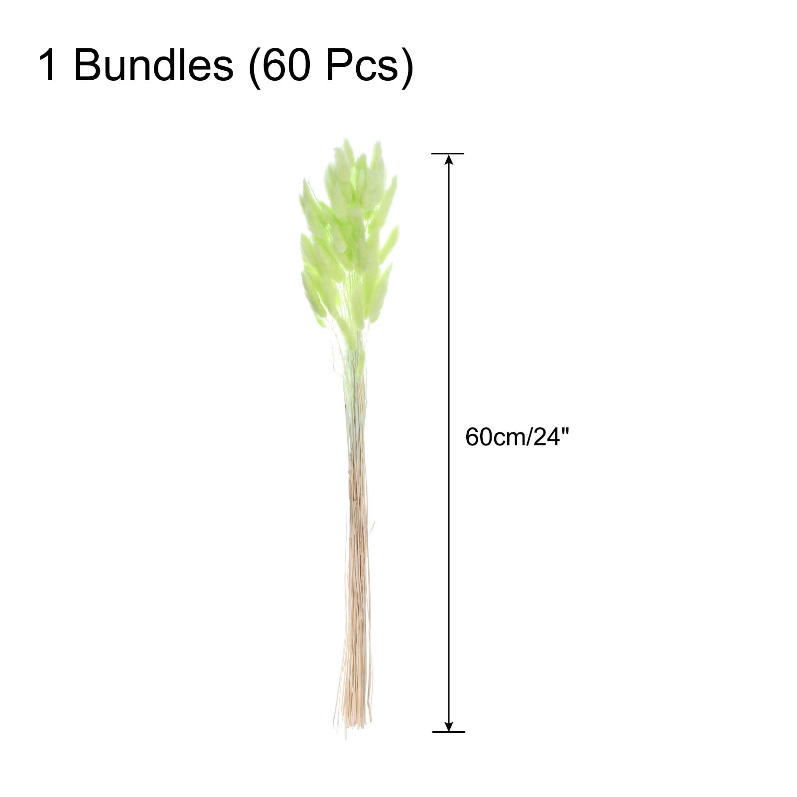 QUARKZMAN 60Pcs Queue de Lapin Naturelle Fleurs Séchées 60cm Vert Émeraude | Mini Herbe de Pampa Lagurus Ovatus, Bouquet pour Décoration Florale Mariage Noël