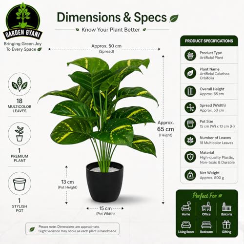 Image of Artificial Calathea Orbifolia Plant with Black Pot - 75 cm Tall Faux Tropical Decorative Plant with 18 Leaves for Home, Office, Balcony & Living Room Decor