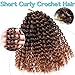8 Inch Short Passion Twist Hair 6 Bundles Kinky Curly Crochet Hair for Black Women Curly Braiding Hair Crochet Braids Hair（6Bundles8 Inch, 1B/30）