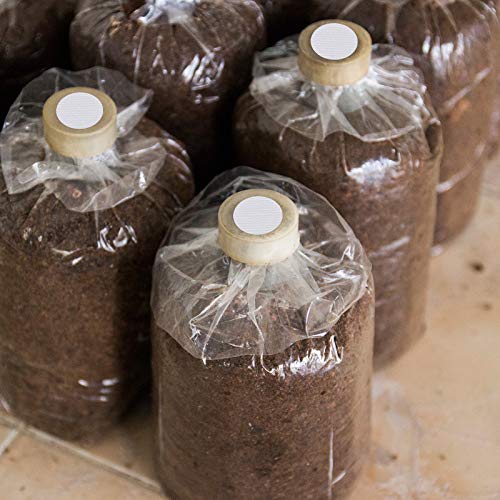 Image of Zonon 256 Pieces Synthetic Filter Paper Stickers 20 mm 0.3 mm Synthetic Filter Disc Tape Mushroom Applied Under Mason Jar for Mushroom Cultivation