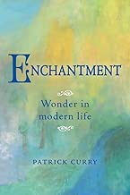 Dowload Enchantment: Wonder in Modern Life 1782506098/ PDF