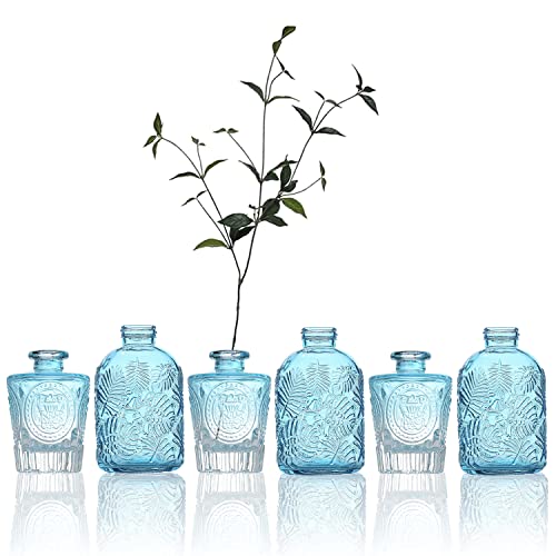 Rinlong Aqua Blue Vase Set mit 6 kleinen Glasvasen Knospenvasen für Blumen Vintage strukturierte Vase Mini Hochzeit Tafelaufsätze hängende Fenstervasen Dekor Cover