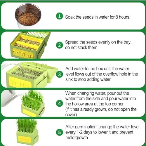 Plantador hidropônico de grama para gatos, caixa para plantador de grama para gatos, Bandejas de ger