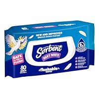 Sorbent Silky White Flushable Toilet Wipes 80 Count, 80 count