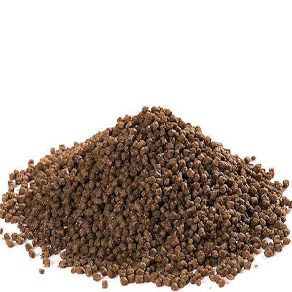 Aqua-Tropica - Raubschnecken-VITAL 35g