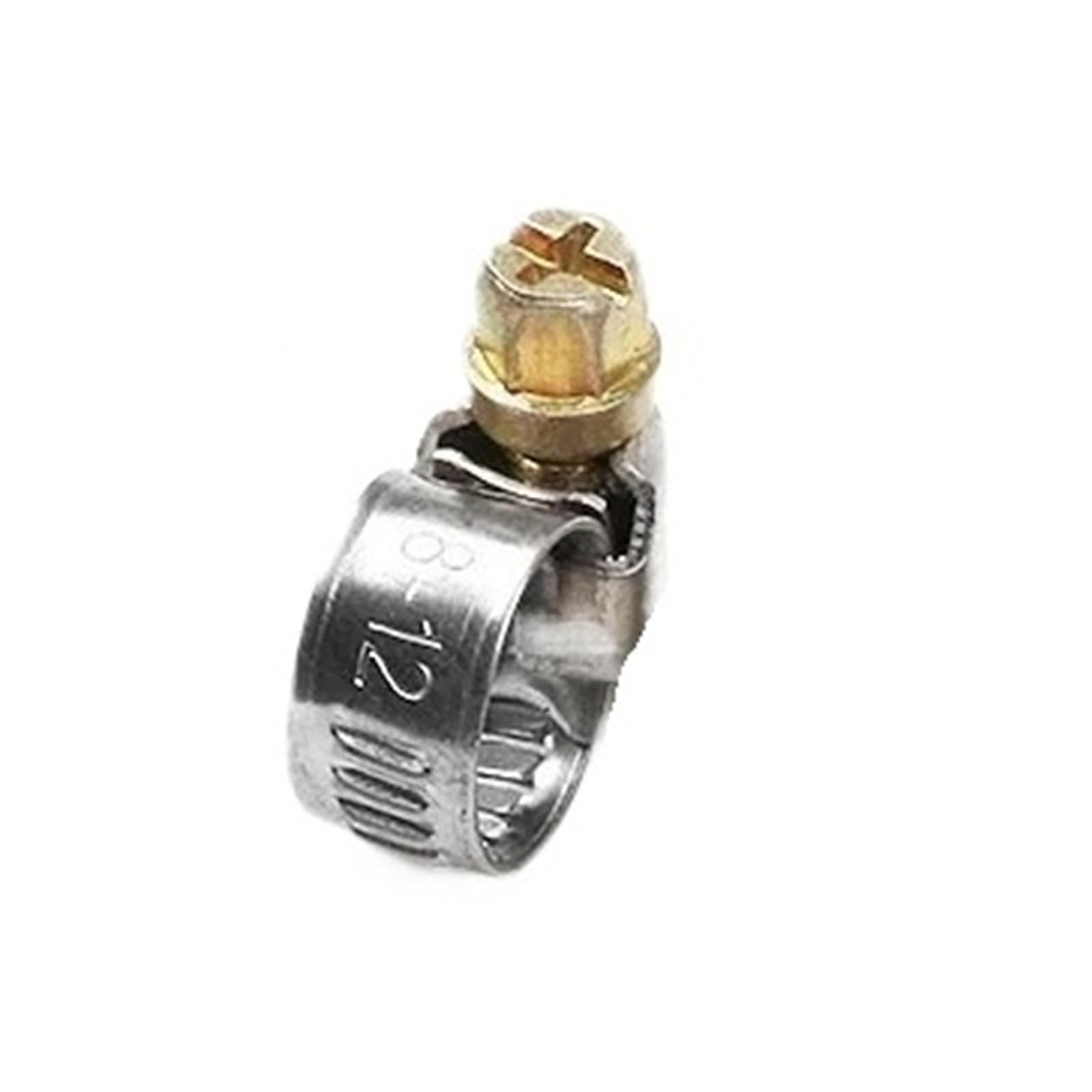 Hqycl 5Pcs 8-12Mm 5/10Pcs Pipe Clamps Stainless Steel Hose Clips Car Fuel Hose Pipe Clamps Worm Drive Anti-Oxidation(5Pcs 8-12Mm)