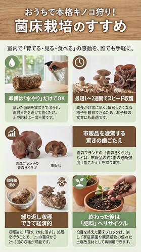自宅で1週間のきのこ栽培: おうちで本格キノコ菌床栽培のすすめ (よかとブックス)