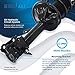 Detroit Axle - Rear Struts Sway Bars for 2001-2006 Hyundai Elantra 2002 2003 2004 2005, 2 Ready Struts, 2 Sway Bar Links Rear Replacement Quick Install Ready Strut Shock Assembly