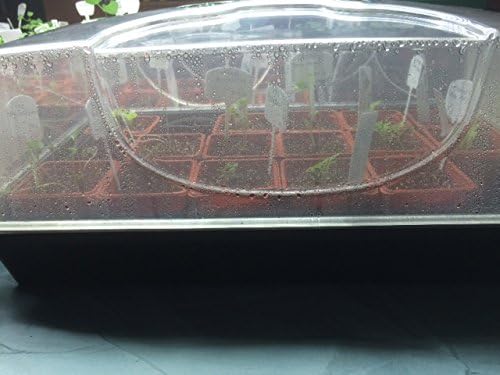 EarlyGrow 70738 Medium Domed Propagator, Black/Dark Green