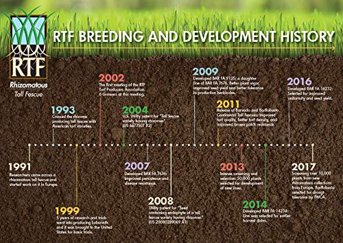 Barenbrug Turf Saver Rtf Grass Seed - Less Water Self-Repairing Tall Fescue Turf For Use On Sports Field, Golf Courses, Parks, Lawns, And Yard (10 Lb Bag) #TOP5
