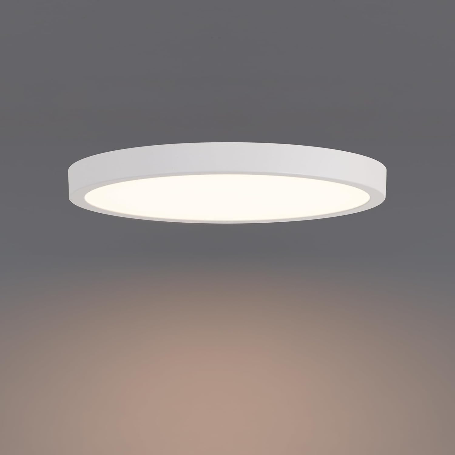 Builder Essential Round LED 11in Flush Mount 21W 2,050 Lumens with 5-CCT Selectability 2700-3000-3500-4000-5000K in White