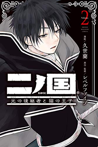 二ノ国 光の後継者と