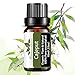 Aceite Esencial Cajeput Orgánico,Aceite Fragancia Cajeput Puro Mumianhua 10ml Aceites Aromaterapia Cajeput Grado Terapéutico para Difusor,Hogar,Humidificador,Velas,Jabones,Limpieza