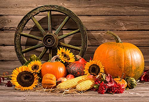 Sfondo Fotografico Autunnale Con Zucche – 180x120 Cm, Vinile, Stampa Digitale, Per Halloween, Compleanni E Decorazioni - 3