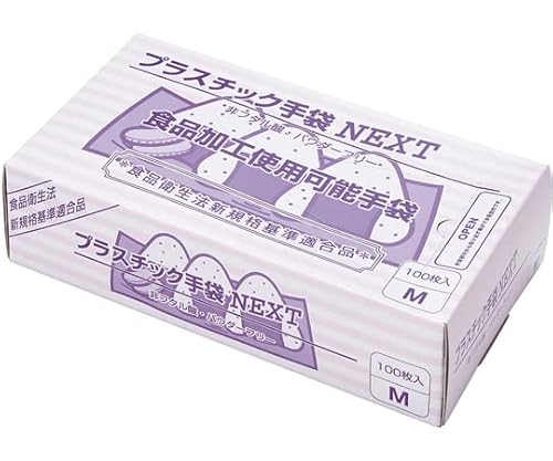 fBebNWp vX`bNNEXT pE_[t[ i` M 2000 100×20