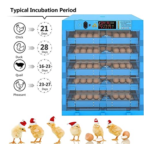CHICTI Brutmaschine Vollautomatisch Inkubator Hühner Wachtel Eier Gänse Enten Wachteln 320 Eier Mit LED… – Bild 4