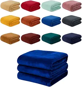 Manta Casal de Microfibra Fofinha Cores Lisas 1,80m x 2,00m Decoração Frio Inverno Quentinha (1, Sortida Lisa)