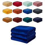 Manta Casal de Microfibra Fofinha Cores Lisas 1,80m x 2,00m Decoração Frio Inverno Quentinha (1, Sortida Lisa)