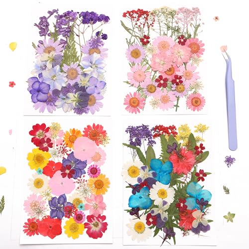 Set de flores secas naturales 140 piezas para manualidades miniatura 1