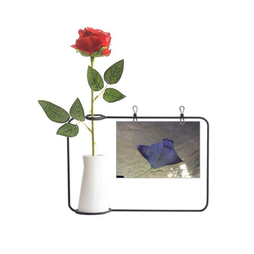 Ocean Ray décoration de bouteille avec rose artificielle pour table de mariage