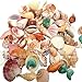 WINOMO Assortiment de coquillages de plage naturels pour la maison, les aquariums, les mariages, les jardins et les aquariums, 500 g