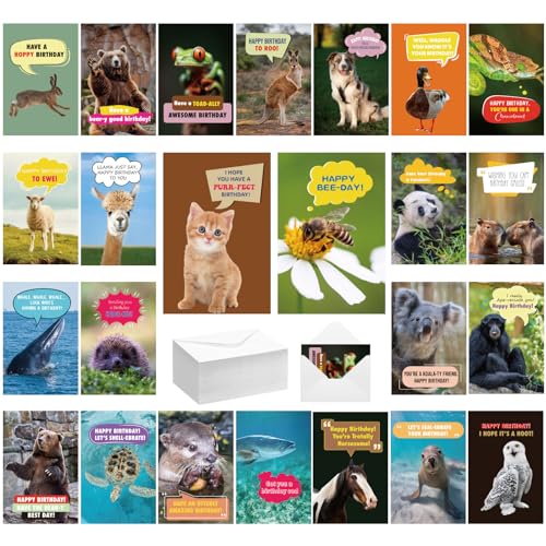 Feifeiya 72 Sets Funny Animal Birthday Greeting Cards Funny Punny