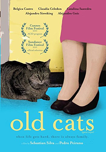 Old Cats DVD cine de autor latinoamericano y drama psicológico en formato físico 2
