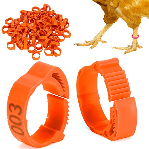 Faixas para Pernas de Codorna, Faixas para Pernas de Identificação de Frango Faixas para Pernas de P