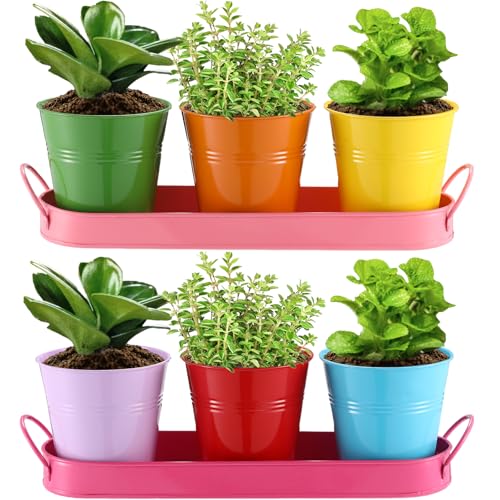 Hicarer 2 Sets Herb Planter with Tray Metal Herb Garden Planter w...