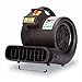 B-Air Grizzly Gp-1 1 HP 3550 CFM Air Grizzly Mover Carpet Dryer Floor Fan for Water Damage Restoration Equipment & Pet Cage Dryer Black