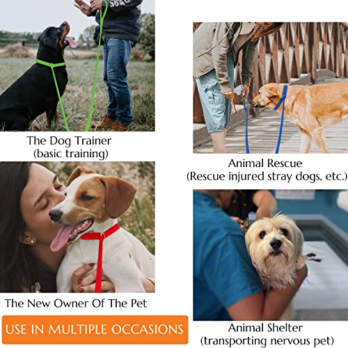 Covgopi Slip Lead Dog Leash, 6 Pcs Short Pet Leashes Slip Leads For Dogs Cats Grooming Shelter Rescues Walking Training,Etc., 6 Ft Strong Pulling Durable Dog Leash With O-Ring #TOP6