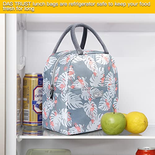 Reusable Lunch Bags For Women Insulated Lunch Box Lunch Bag Women Leakproof Cooler Bag Lunch Container Meal Prep Womens Lunchbox For Men Small Lunch Tote Bag Lunchboxes Thermal Lunch Box #TOP4