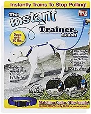 Trainer leash Clearance