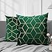 Lewondr Federe Cuscini 45x45, 2 Pezzi Federe per Cuscini Divano Quadrate in Morbido Velluto con Ricamo d'oro, Copertine per Cuscini Divano Auto Home Decor, Verde Scuro