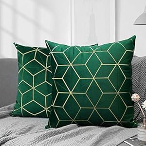 Lewondr Velvet Cushion Cover, Set of 2 Square Decorative Cushion Cover with Golden Embroidery, Geometric Pattern, Soft Pillowcase, Decorative Cushion Covers for Car, Sofa, Living Room, 45 x 45 cm, Dark Green