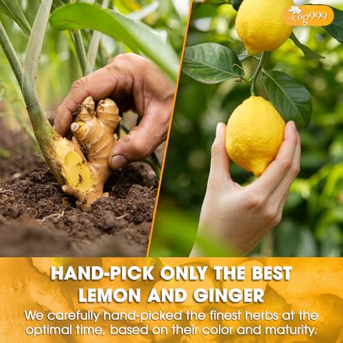 Image of TOG999, Premium Lemon Ginger Tea Bags | 60 Tea Bags | Refreshing Herbal Blend with Bright Citrus & Warming Ginger | Naturally Caffeine-Free | 100% Plant-Based, Sustainably Sourced Herbal Tea