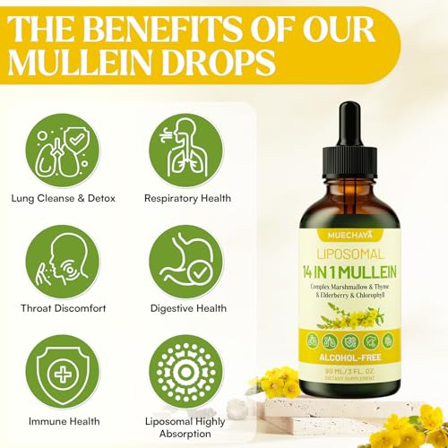 View 5