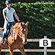 PEUTIER 8stk Wandmontage-Dressurmarker für Arena, Acryl Trainings-Dressurmarker für Reitsportler A B C E H K F M Markierungen mit Großen Buchstaben