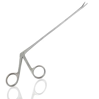 12"Hartman Alligator Forceps Stainless Steel for Educational Use