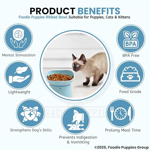 Image of Foodie Puppies Pet Elevated Raised Bowl for Cats, Kittens, and Puppies - (Ribbed Bowl, Blue) | 45 Degree Tilted | Cat Food and Water Feeding Bowl | Anti Vomiting, Stress-Free, Durable