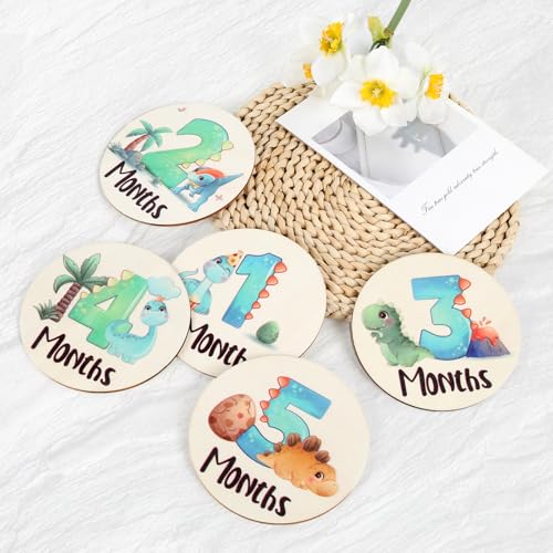 Image of Baby Monthly Milestone Signs - 13 Pack Wooden Baby Milestone Cards for 1-12 Months, Newborn Photography Props with Hello World Discs, Gender Neutral Baby Announcement for Boy Girl Age Shower Gifts