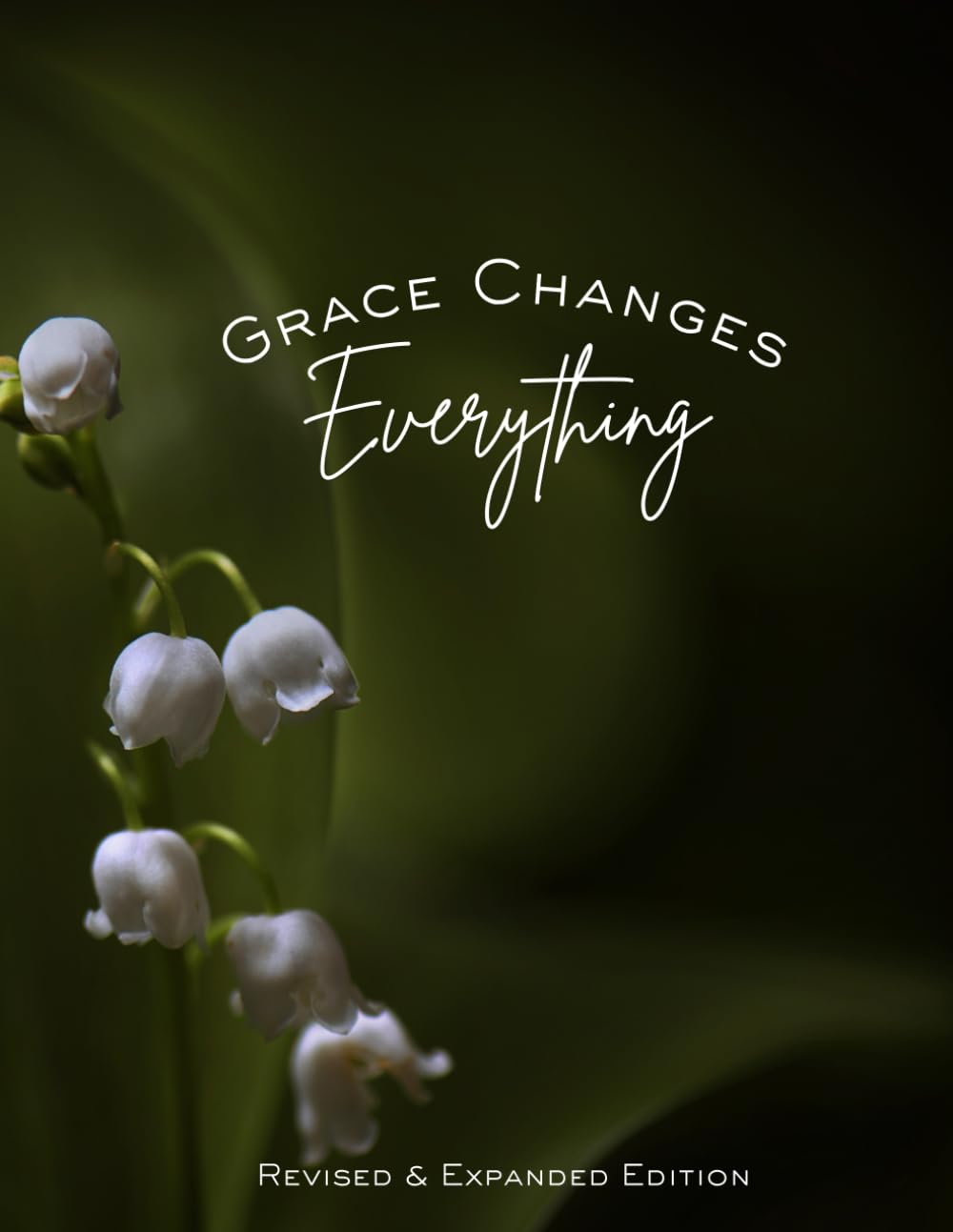 Grace Changes Everything: Revised & Expanded Edition (Teacher Bible Studies)