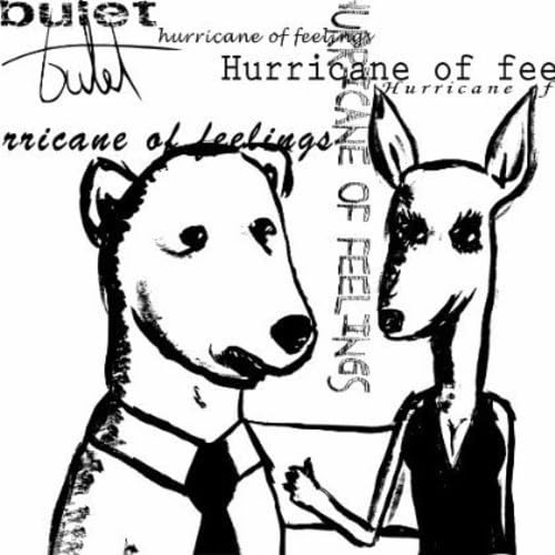 Hurricane of Feelings [Audio CD] Bulet