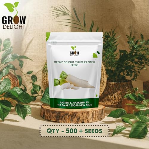 Image of White Raddish (Safed Mooli) (500 Seeds) Vegetable Seeds for Home Garden, Organic & Hybrid, Perfect for Home Gardening, Planting For Pots and Patio